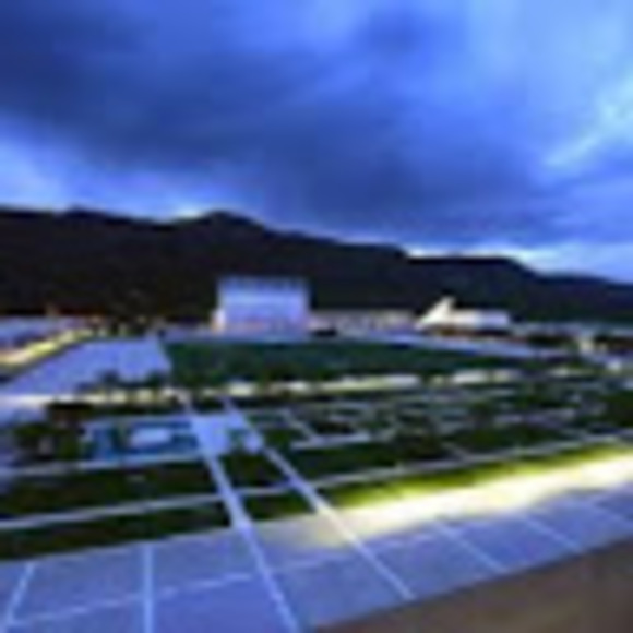 Meet your Posher, Gracie - Picture 1 of 1